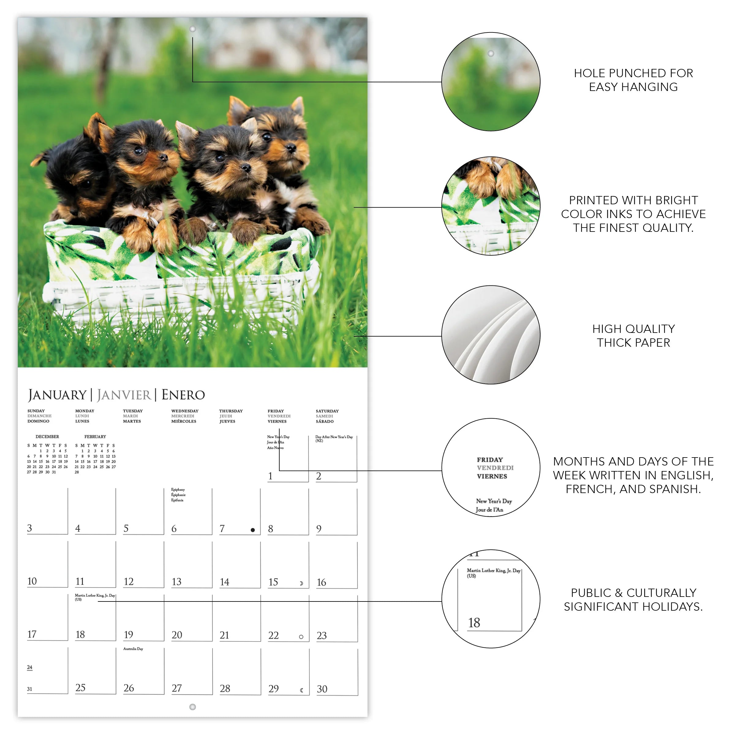 GRPH Puppy Love 2027 Wall Calendar