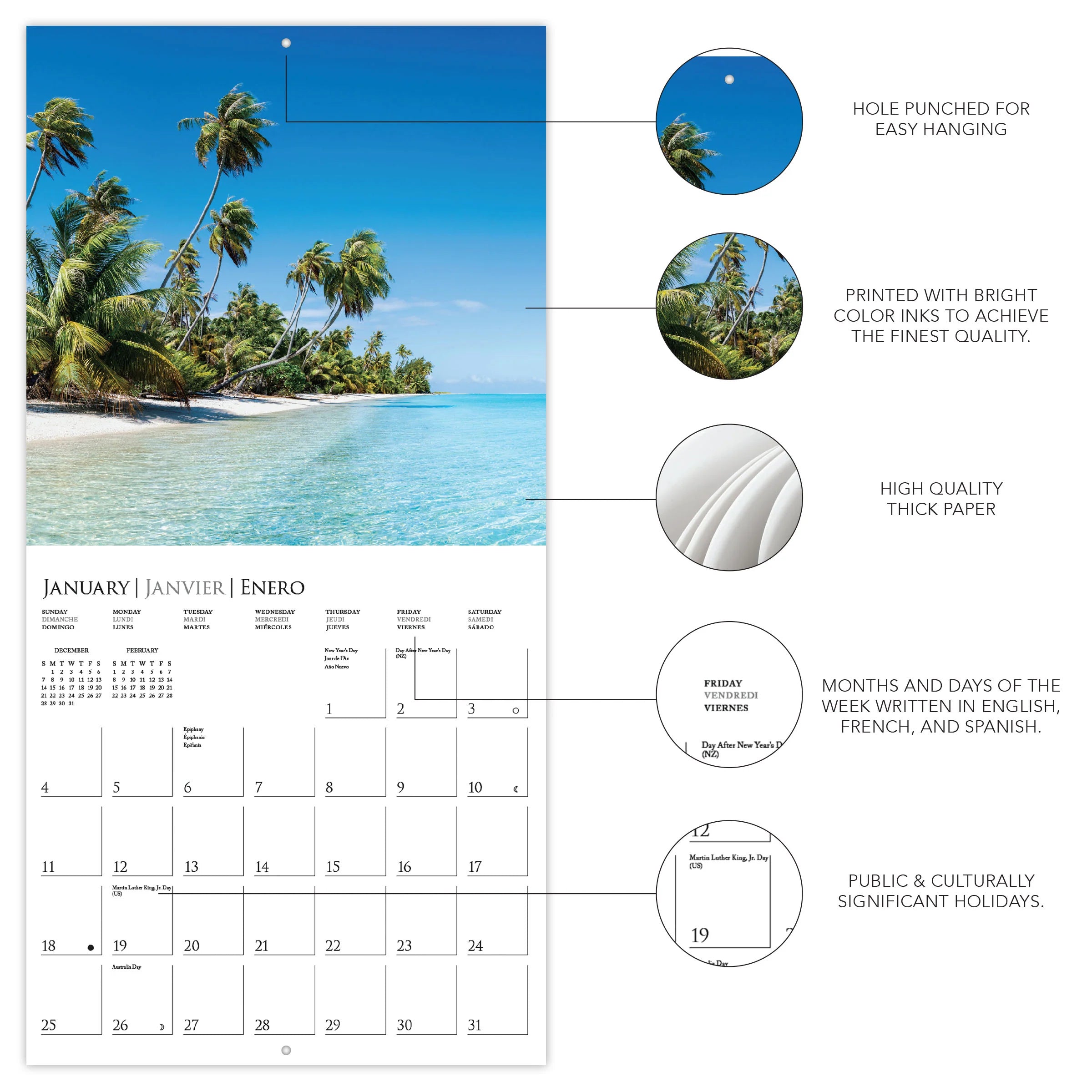 Island Paradise 2026 Mini Wall Calendar