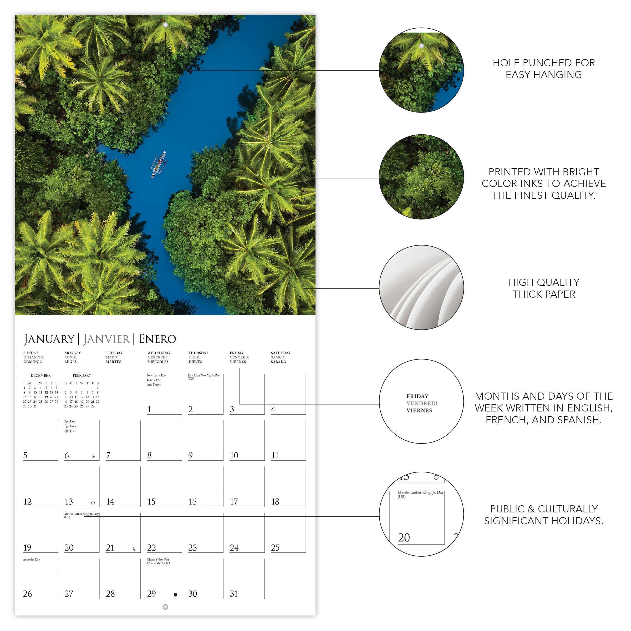 Life From Above 2025 Wall Calendar    