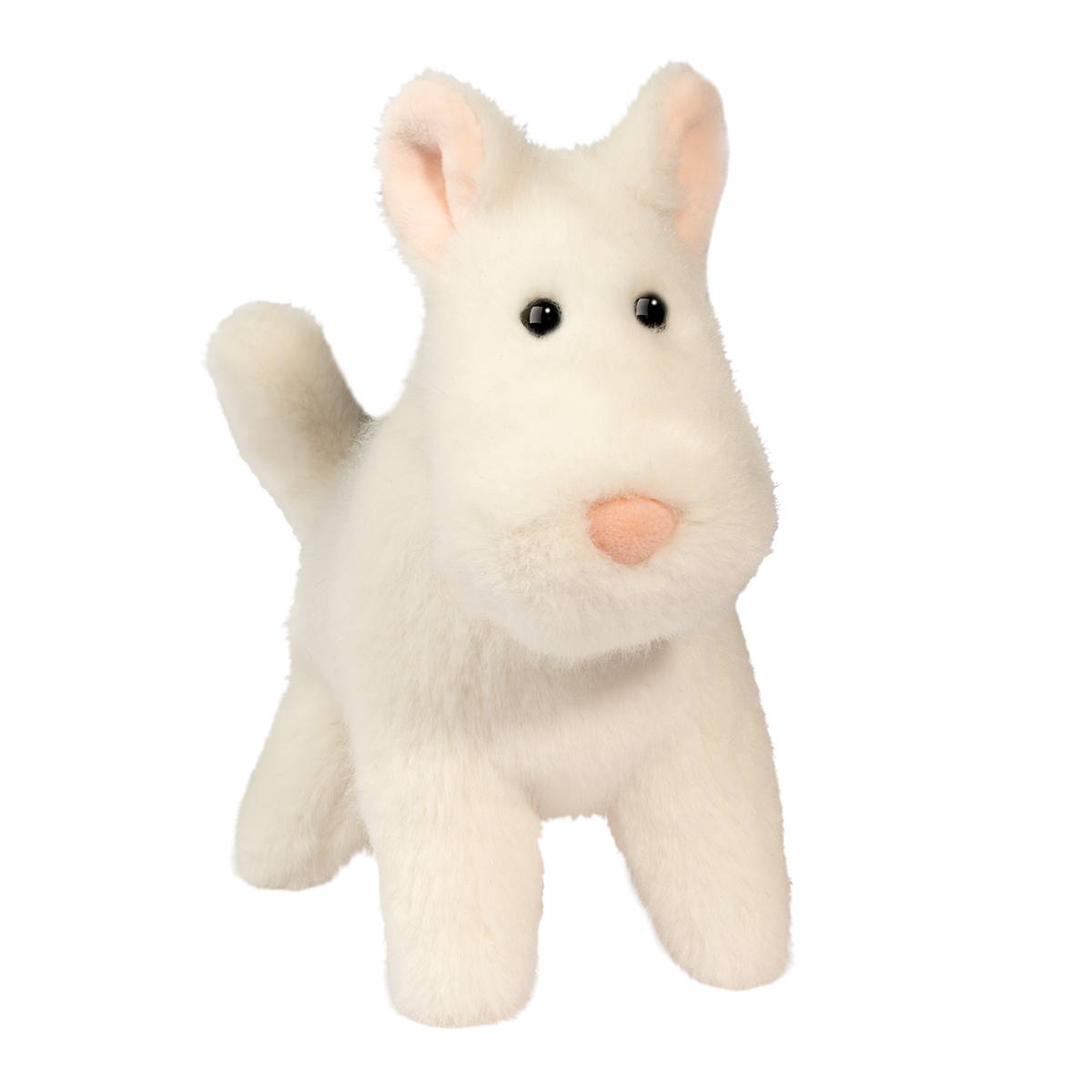 Muzzle Janice Terrier