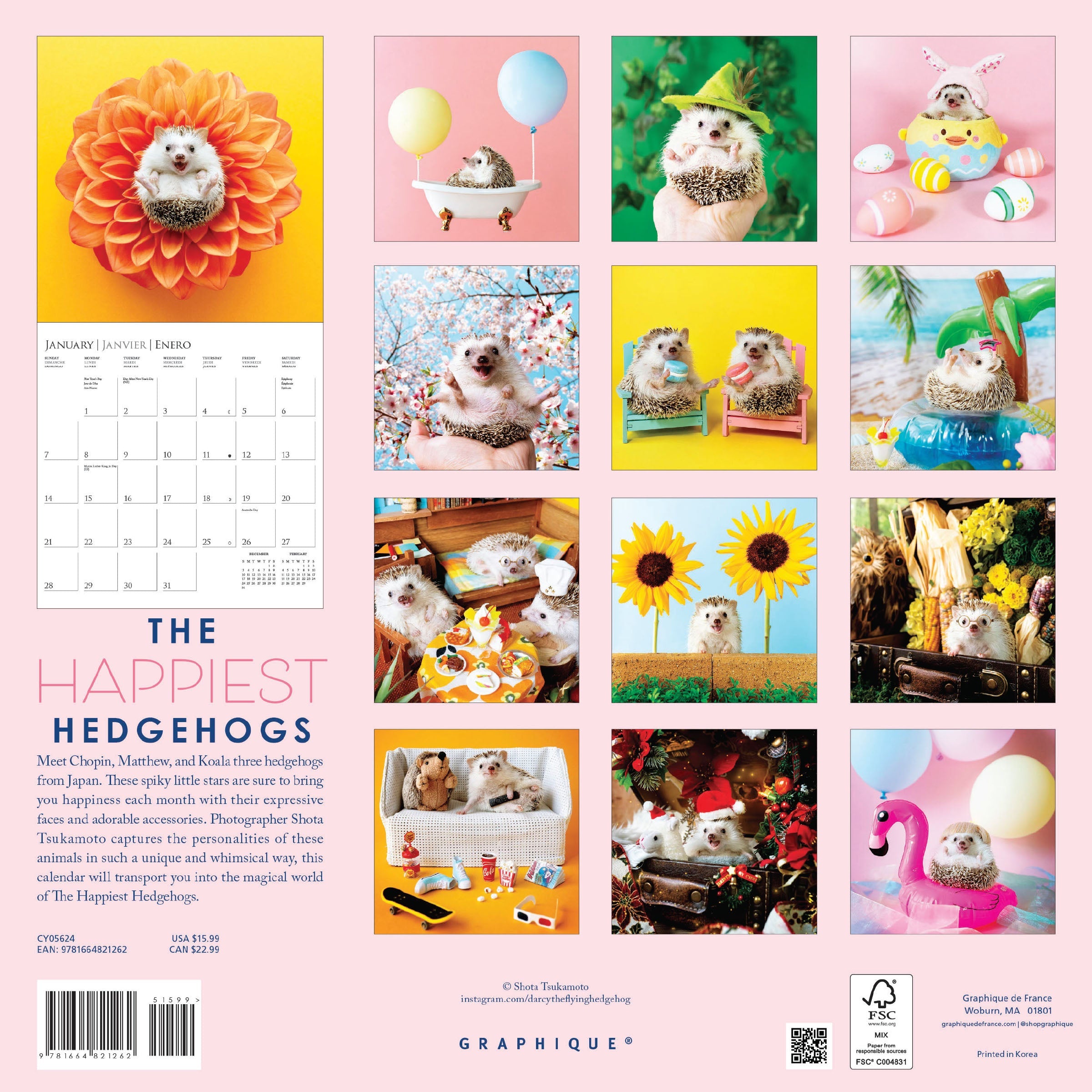 Happiest Hedgehogs 2024 Wall Calendar    