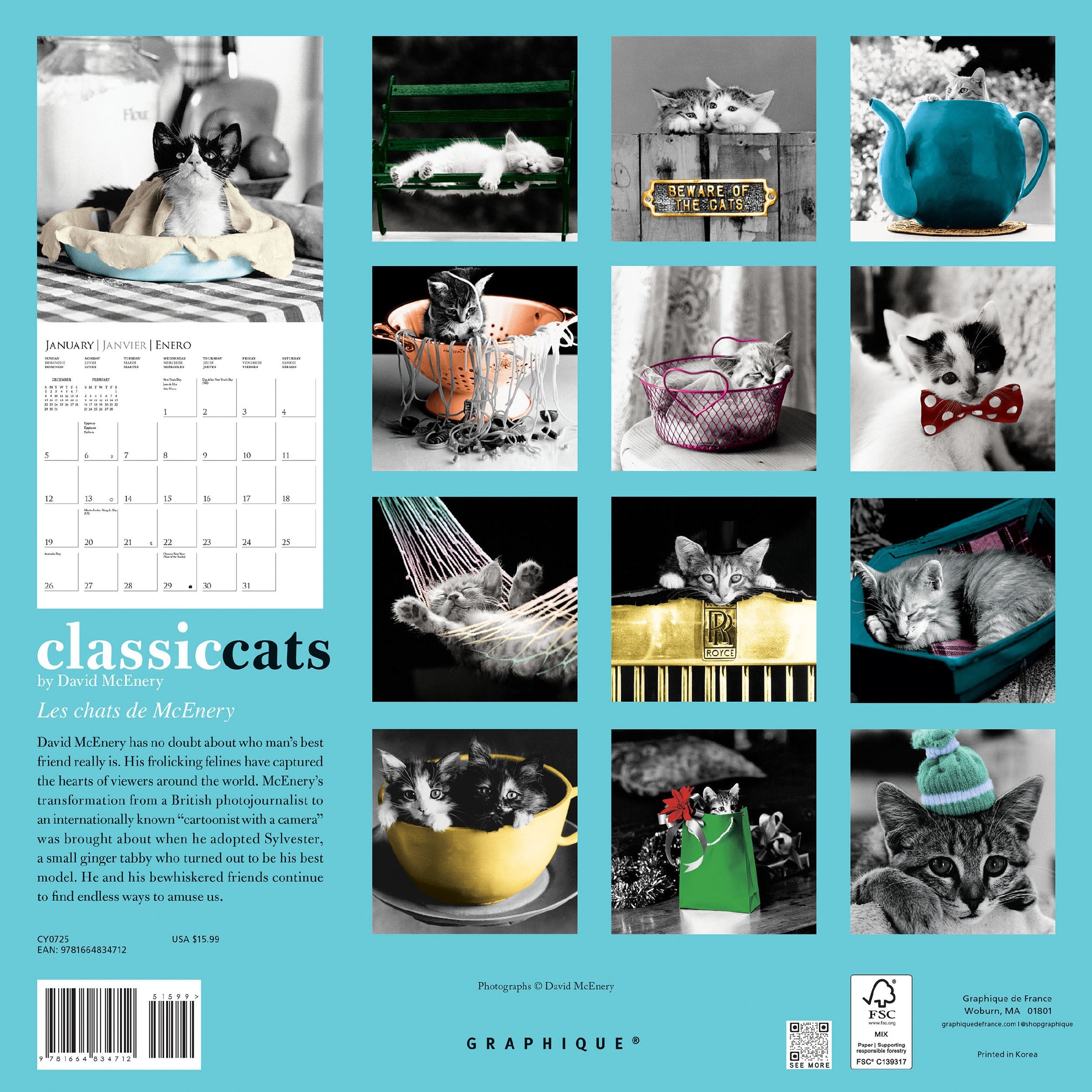 Classic Cats 2025 Wall Calendar    