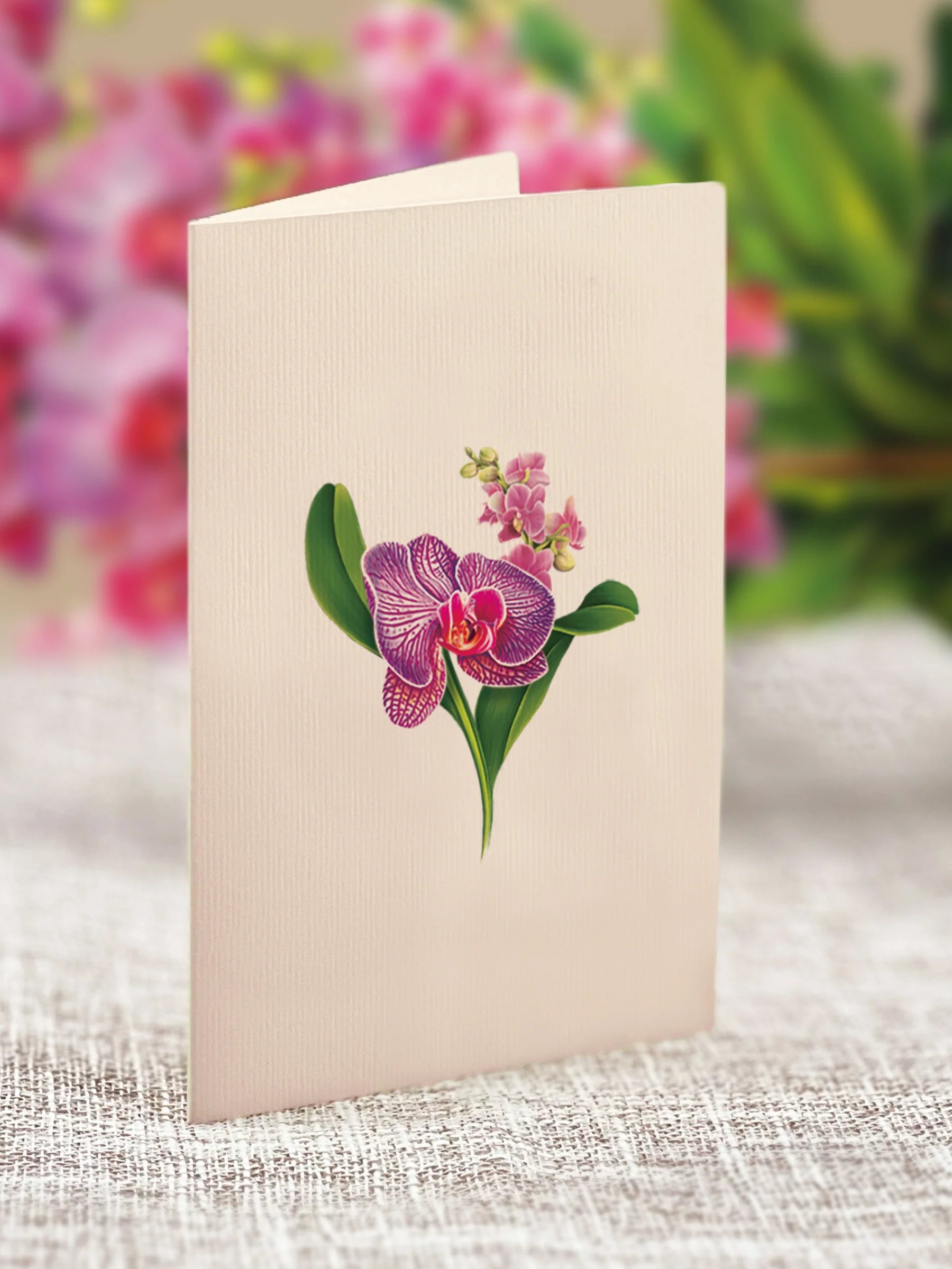 Orchid Oasis Mini Pop Up Flower Bouquet Greeting Card    