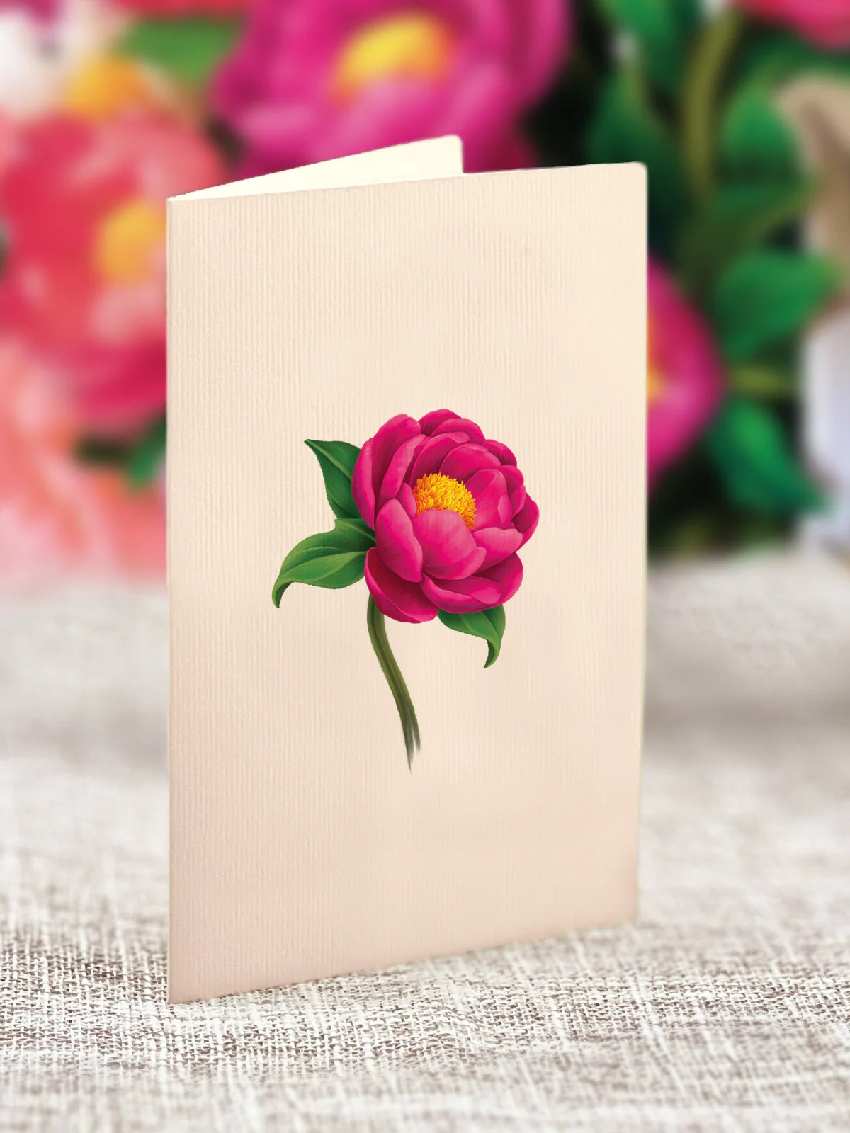 Peony Paradise Mini Pop Up Flower Bouquet Greeting Card    