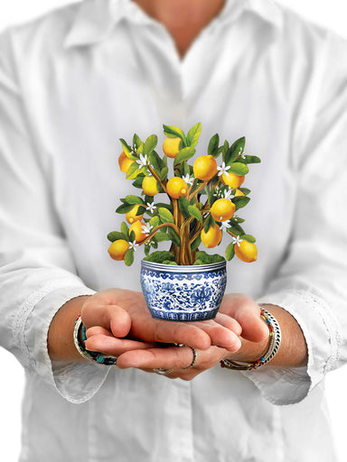 Lemon Blossom Tree Mini Pop Up Greeting Card    