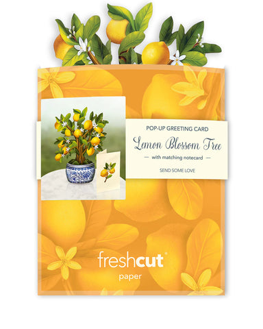 Lemon Blossom Tree Mini Pop Up Greeting Card    