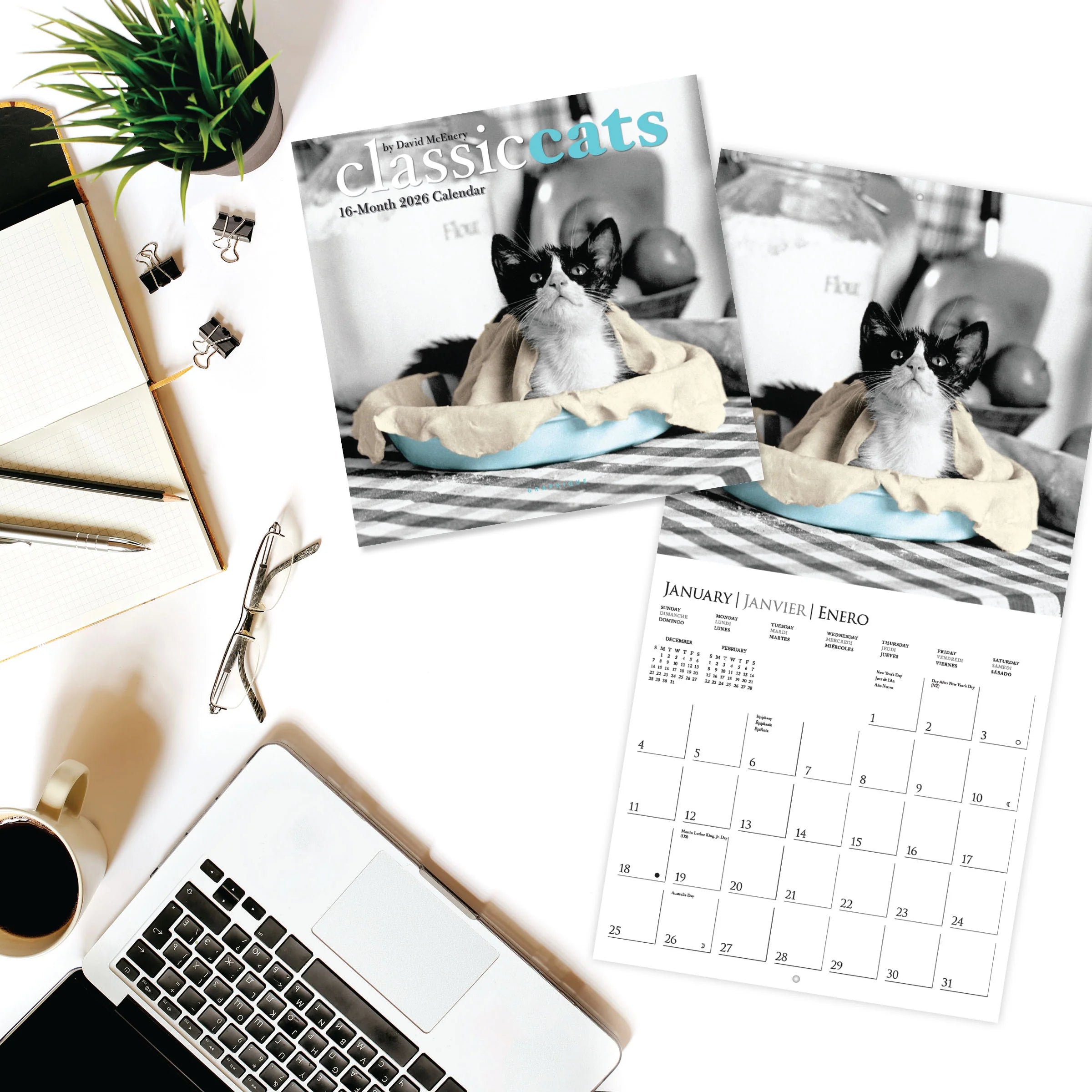 Classic Cats 2026 Mini Wall Calendar