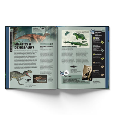 Smart Fox: Dinosaurs