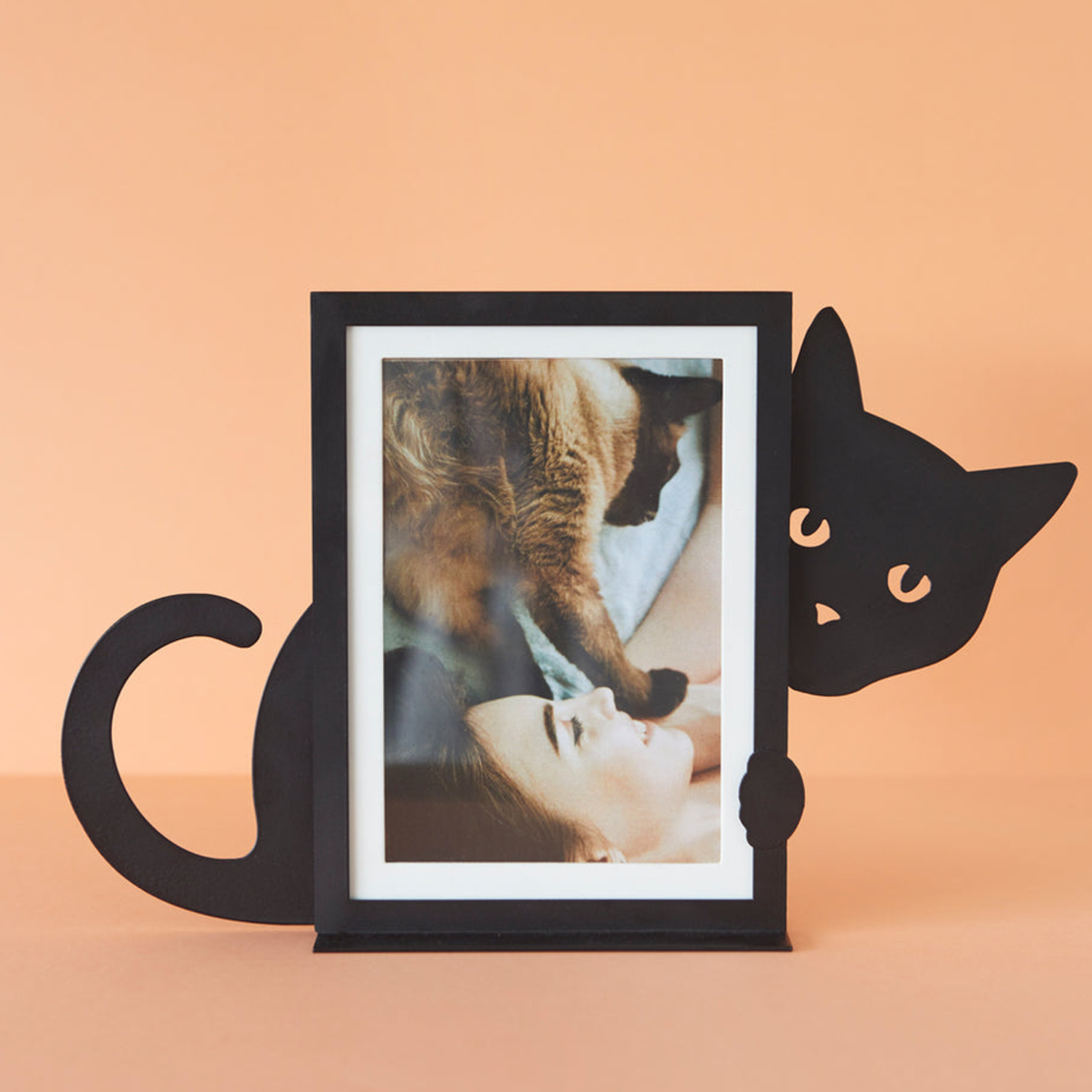 Hidden Cat Photo Frame - Vertical 4x6 Photo