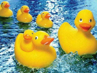SPRGBK Rubber Duckies 60 Piece Puzzle