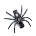 Creepy Crawly Hair Clips - Set of Two