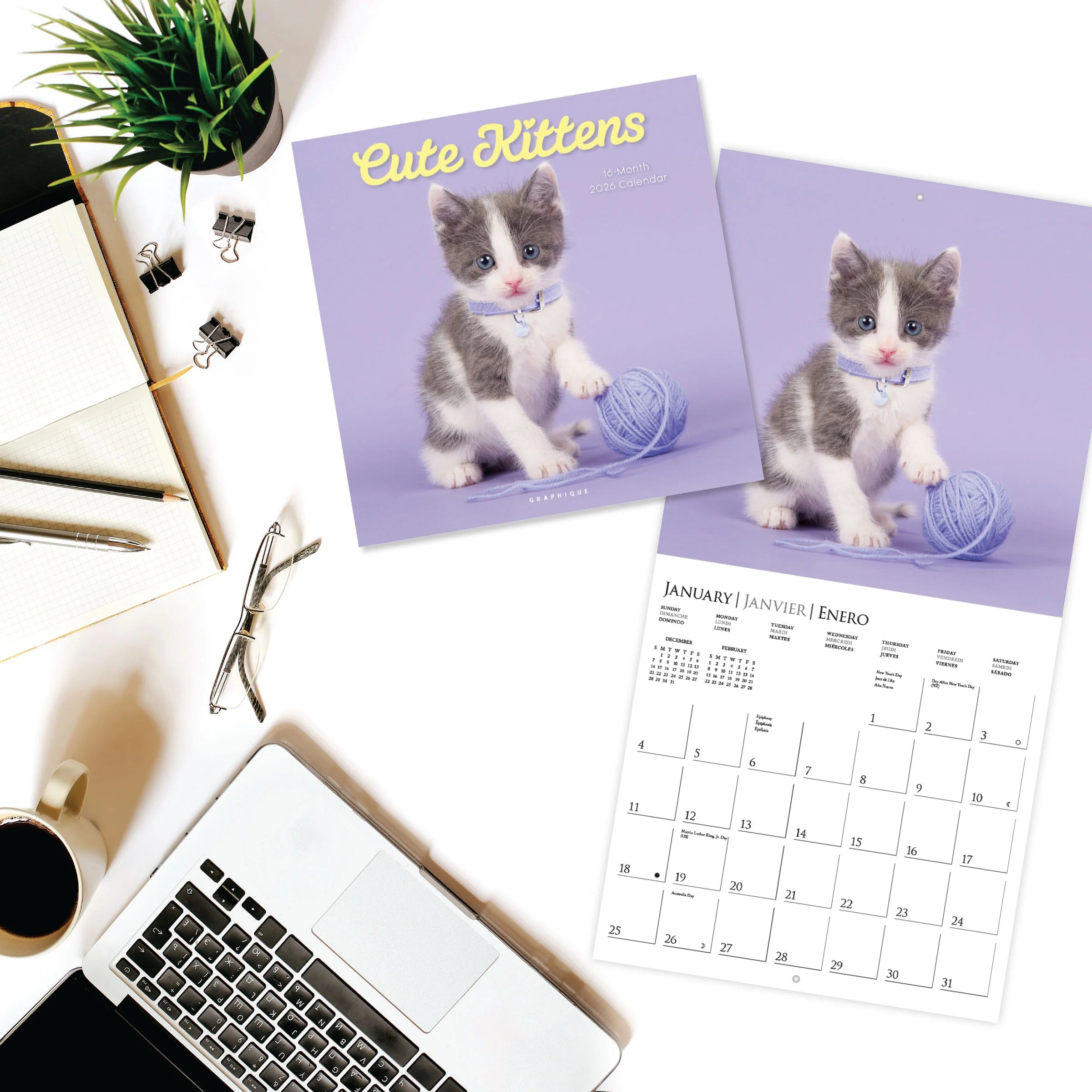 Cute Kittens 2026 Wall Calendar