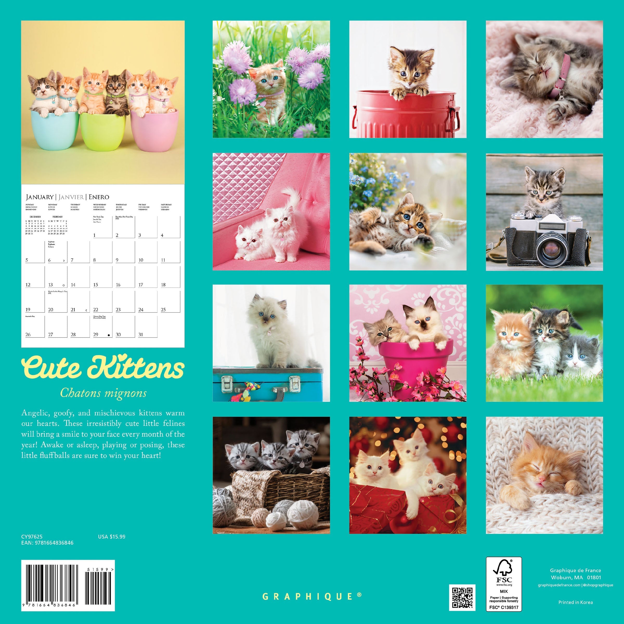 Cute Kittens 2025 Wall Calendar    