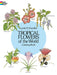 Tropical Flowers of the World Coloring Book