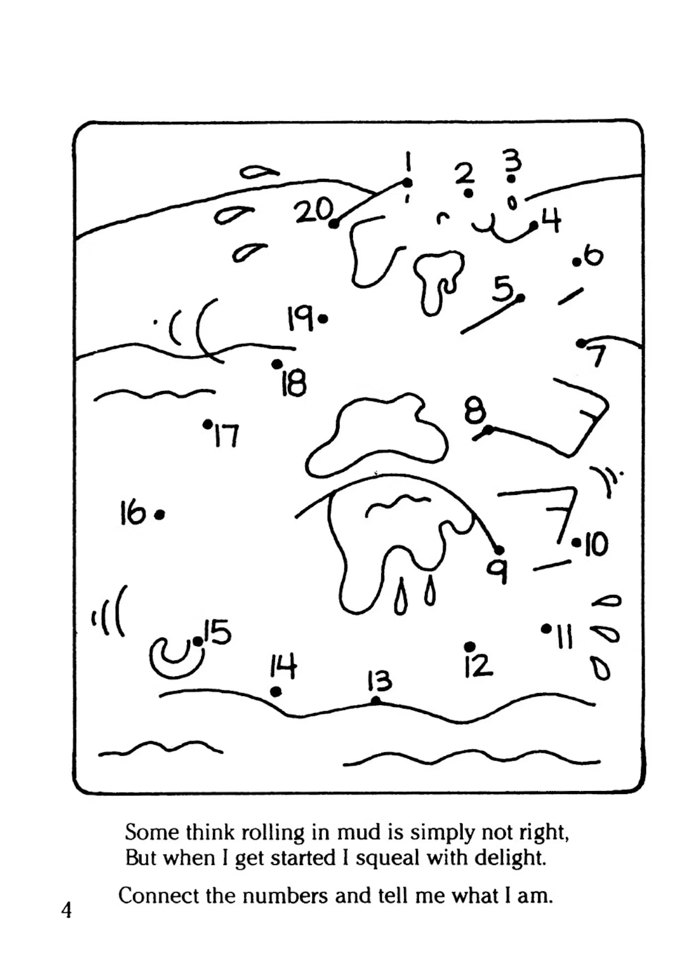 DVR Farm Activity Book