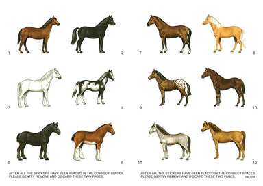 DV Learn About Horses Sticker Activity Book
