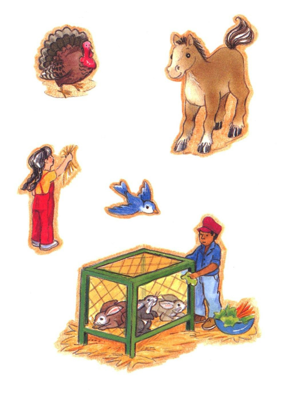 DVR Petting Zoo Sticker Activity Book
