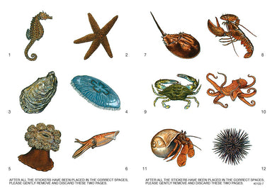 DVR Learning About Sea Animals