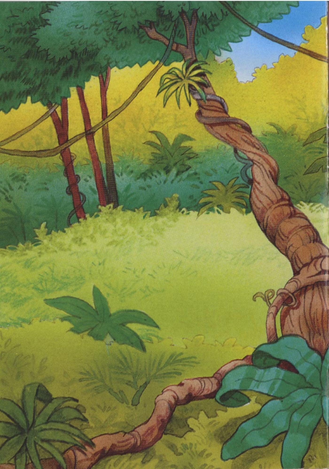 My Rain Forest Sticker Activity Book