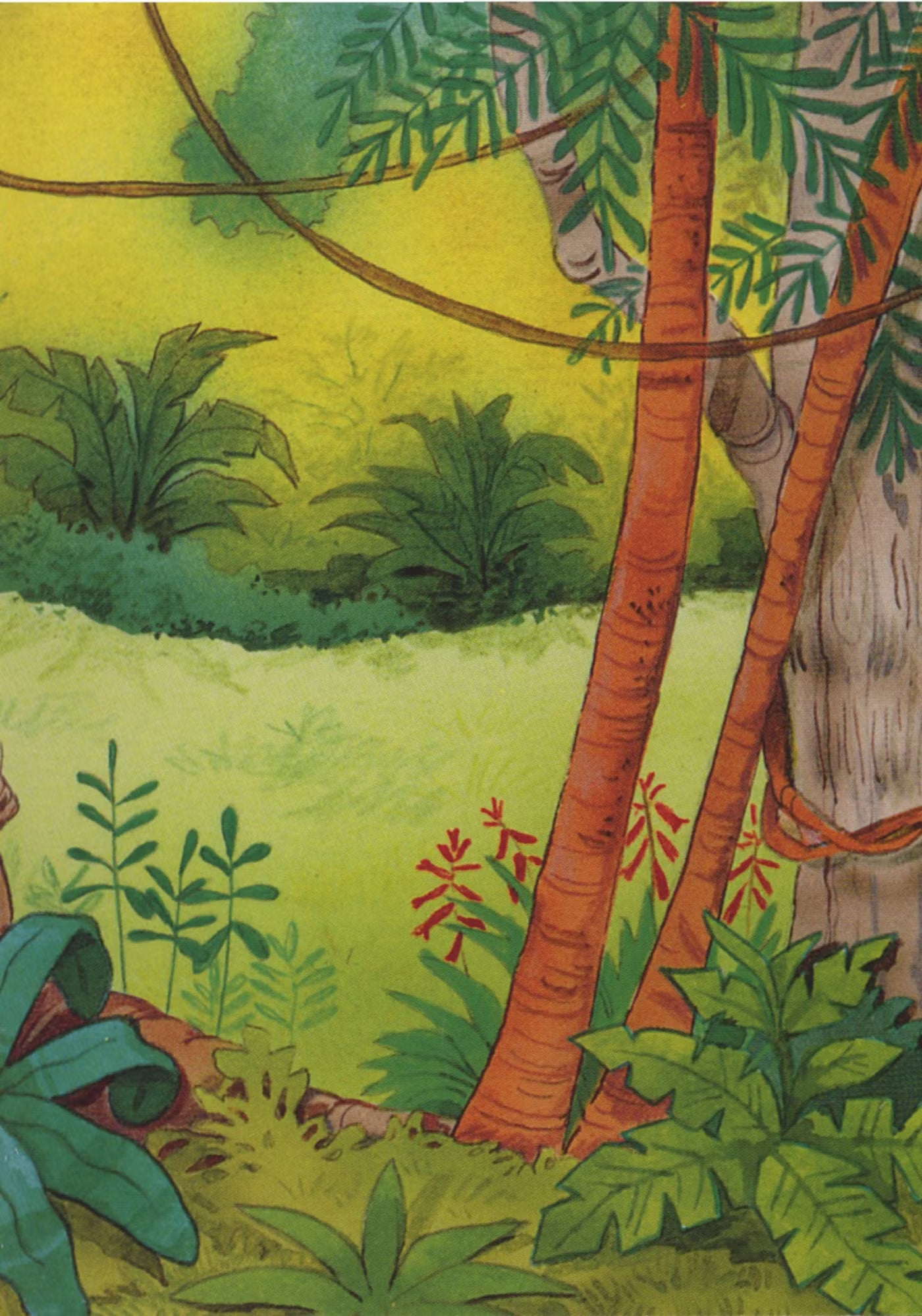 My Rain Forest Sticker Activity Book