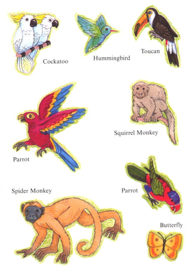 My Rain Forest Sticker Activity Book