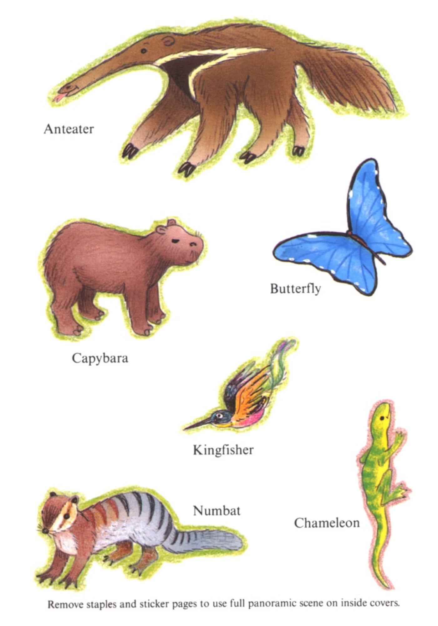 My Rain Forest Sticker Activity Book