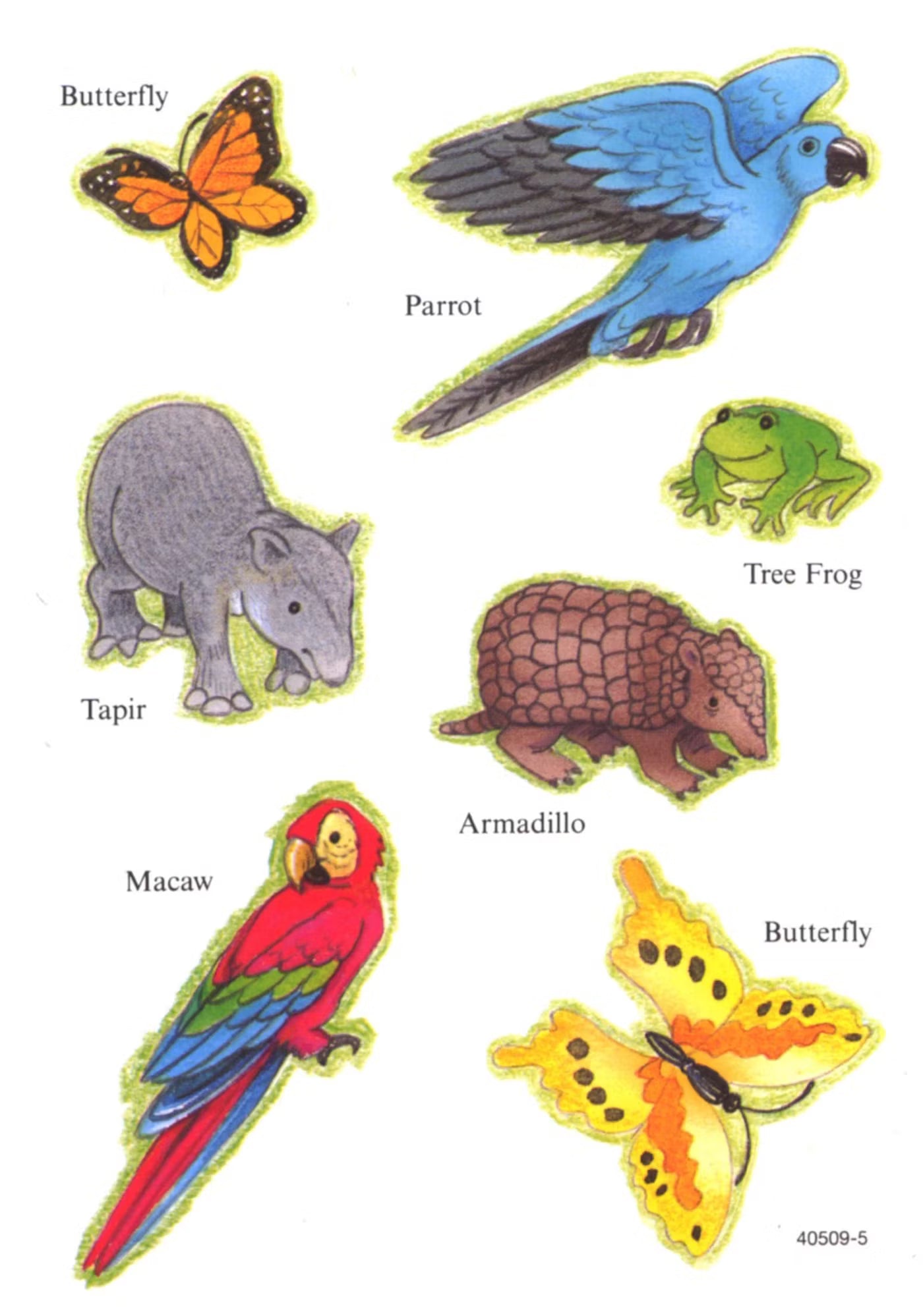 My Rain Forest Sticker Activity Book