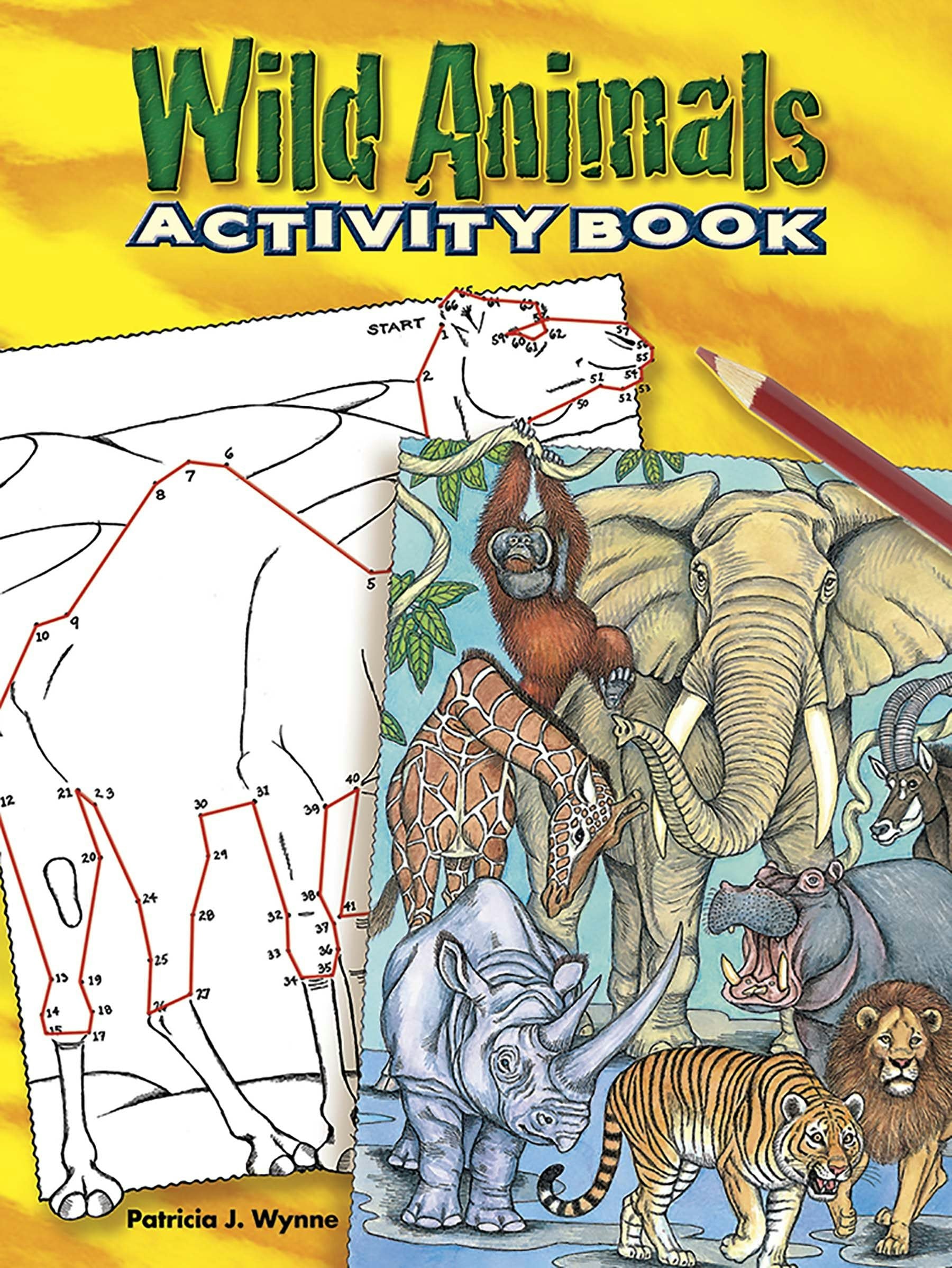 DVR Wild Animals Activity Book