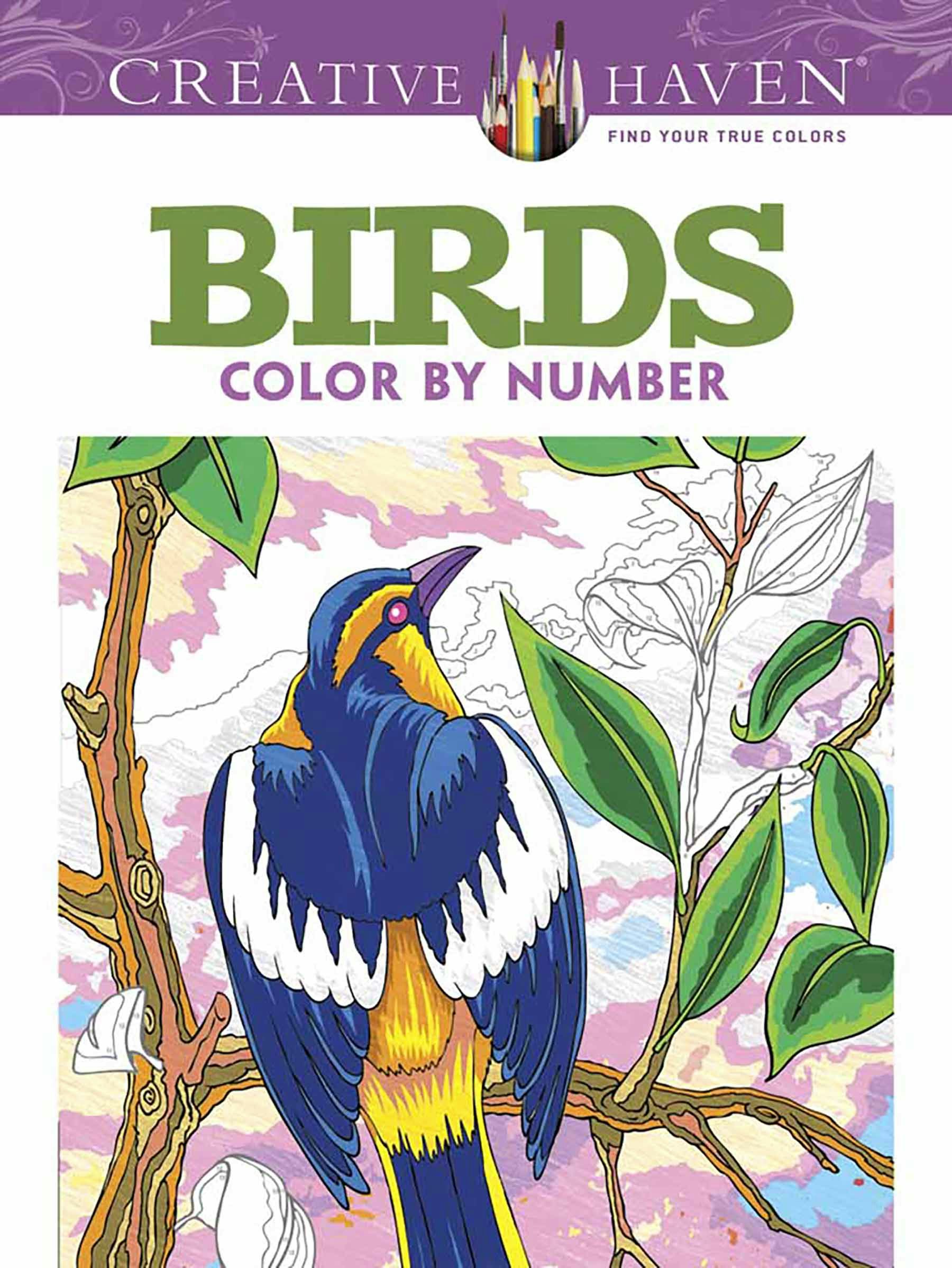 DVR Creative Haven® Color-By-Number: Birds