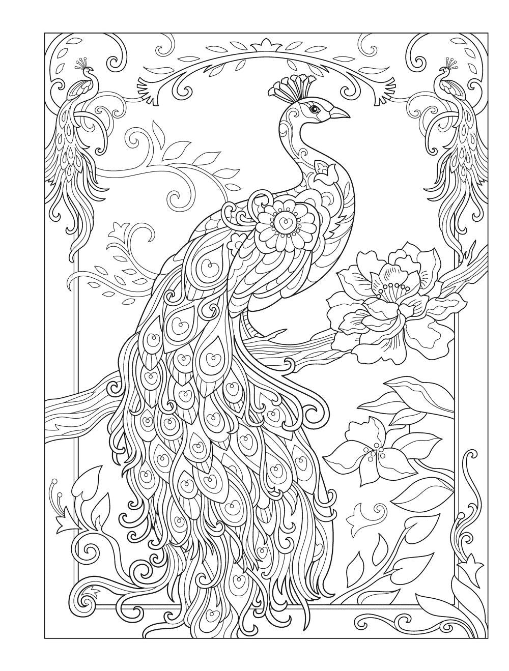 DVR Creative Haven® Coloring Book: Birds & Blossoms