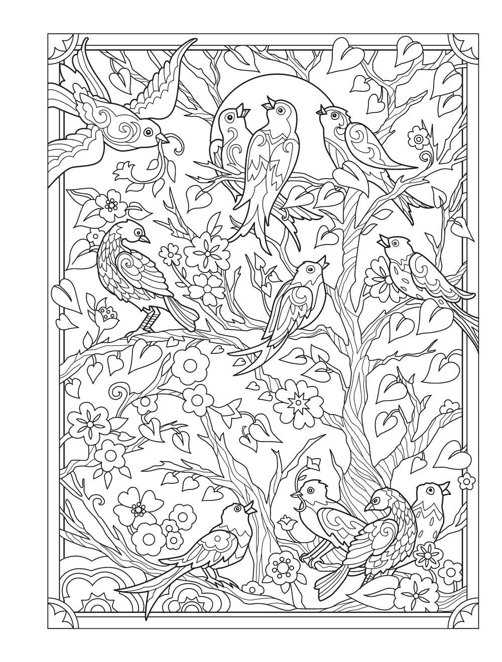 DVR Creative Haven® Coloring Book: Birds & Blossoms