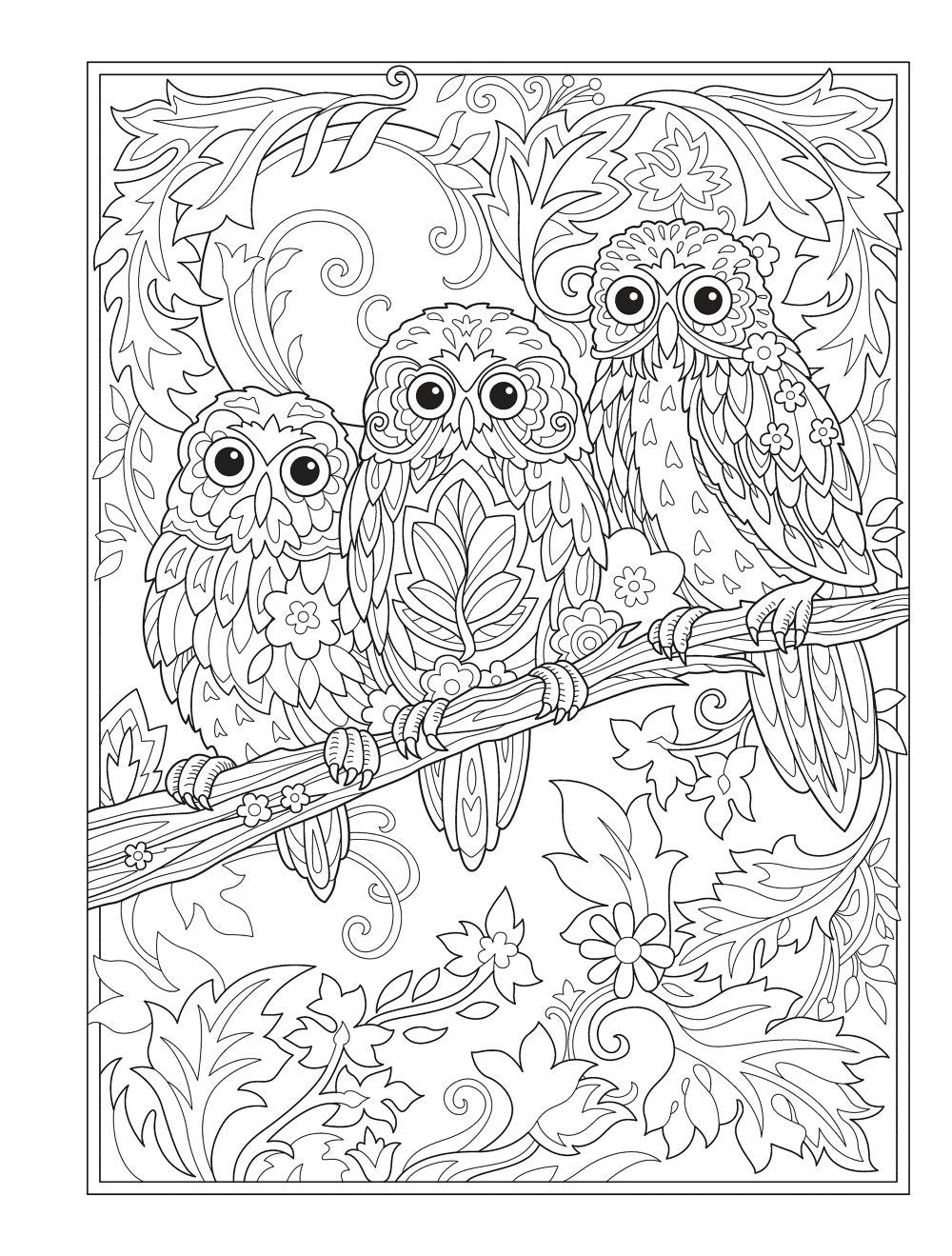 DVR Creative Haven® Coloring Book: Birds & Blossoms