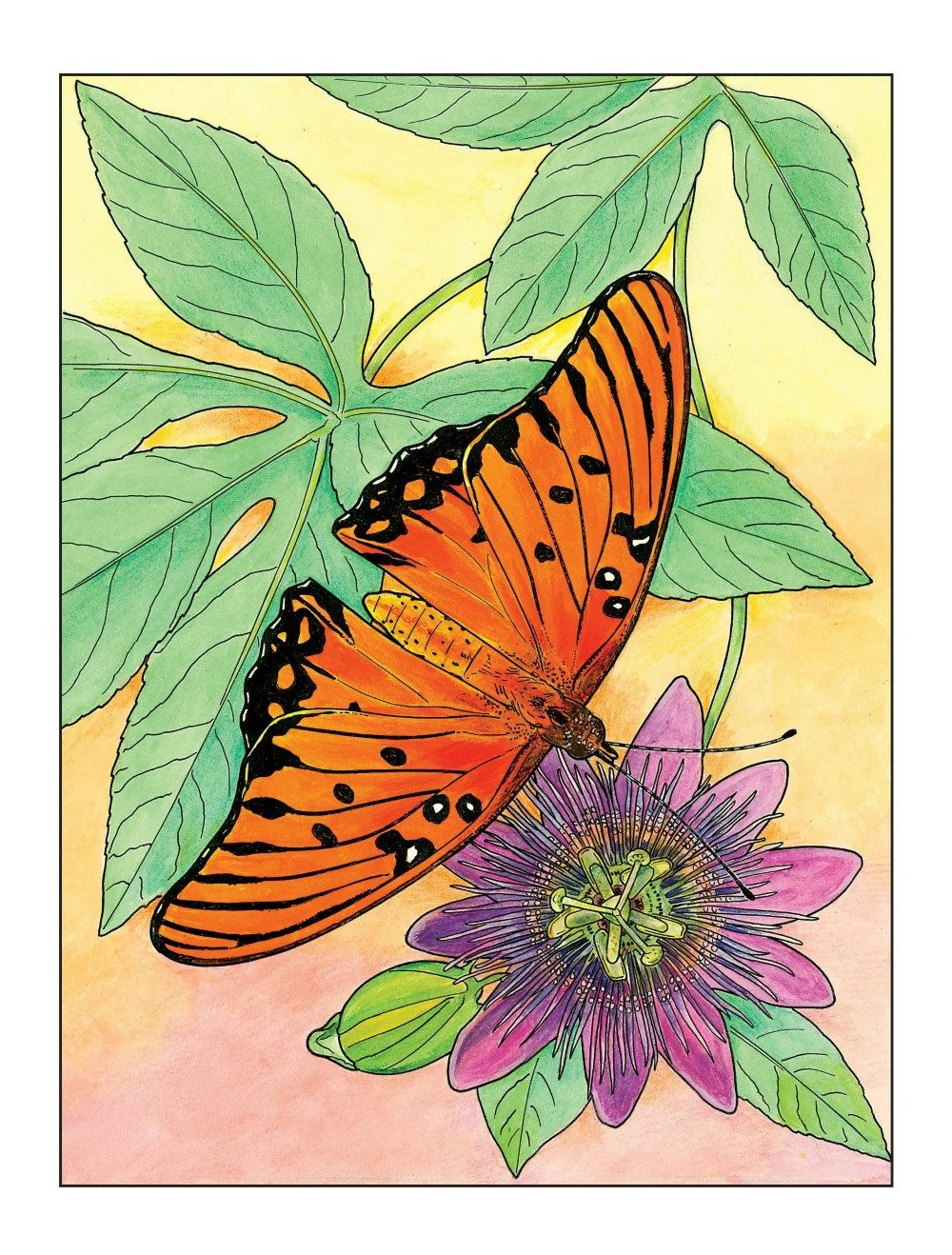 DVR Creative Haven® Coloring Book: Butterfly Gardens