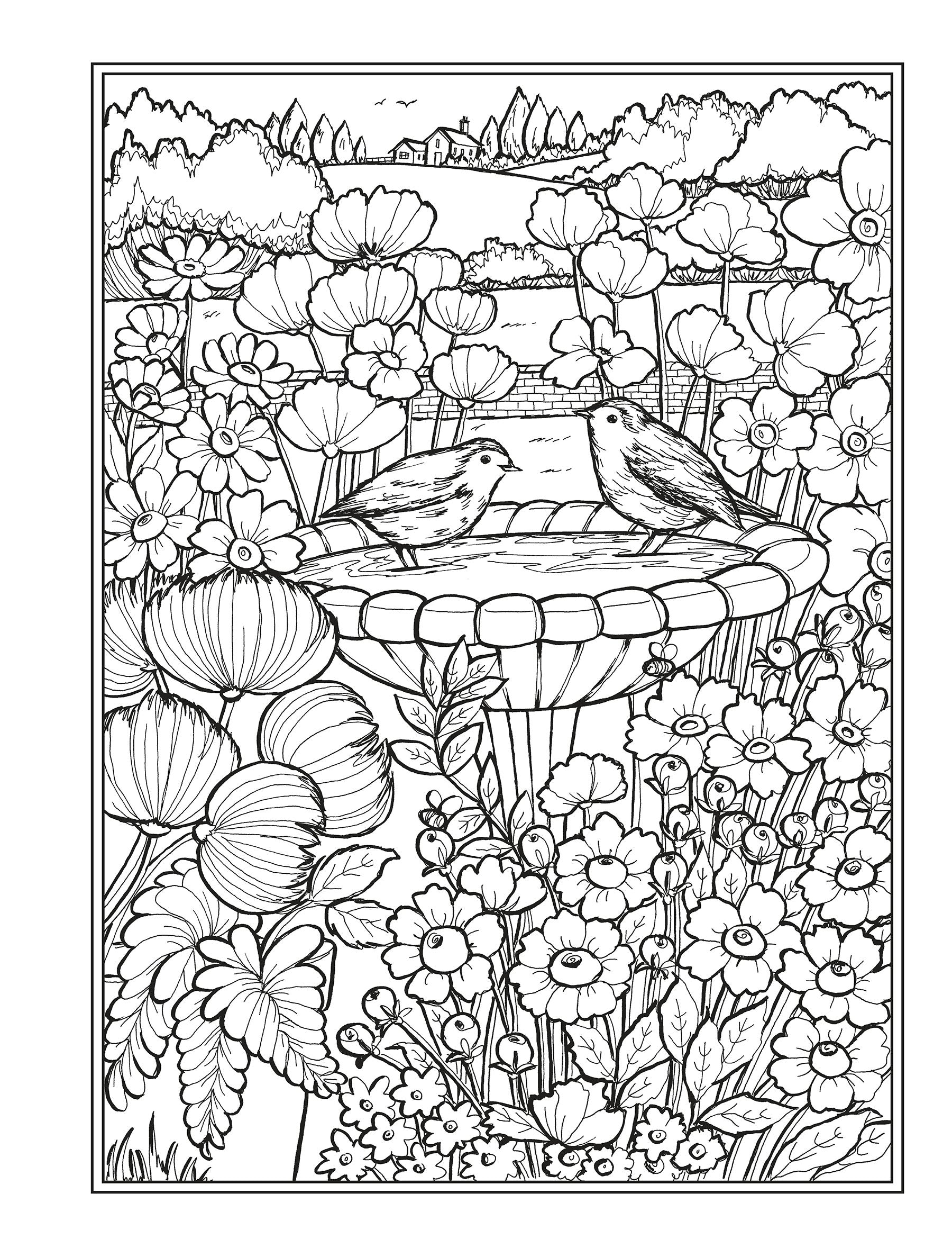 DVR Creative Haven® Coloring Book: Country Gardens