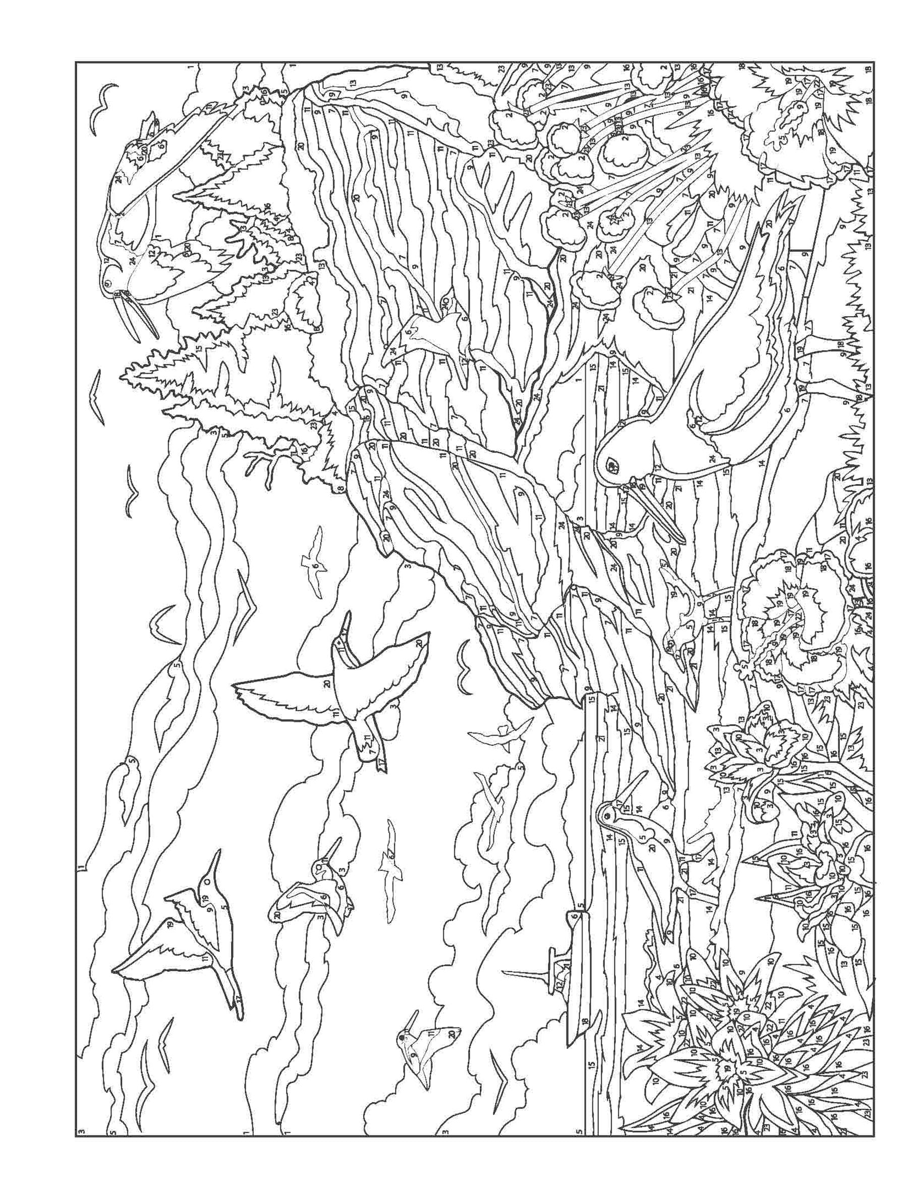 Creative Haven® Color-by-Number: By the Sea