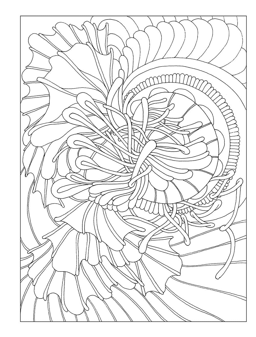 DVR Creative Haven® Coloring Book: Serenity