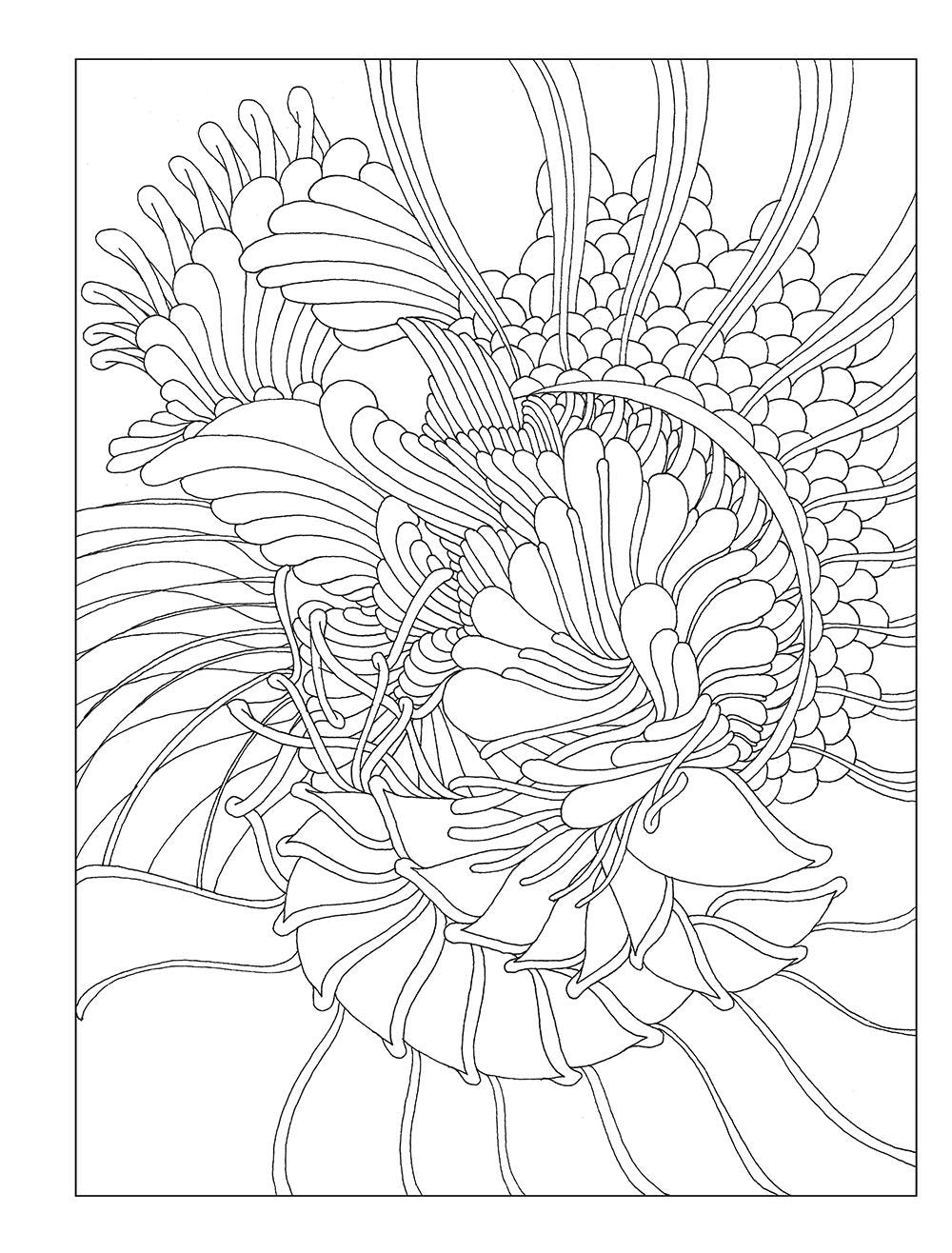 DVR Creative Haven® Coloring Book: Serenity