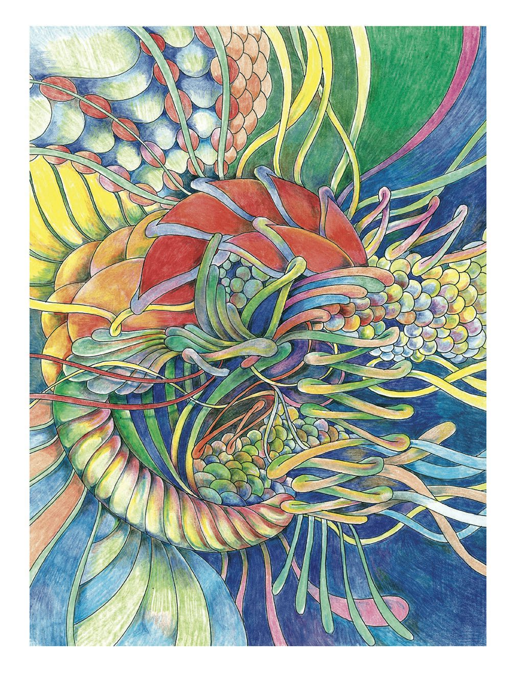 DVR Creative Haven® Coloring Book: Serenity