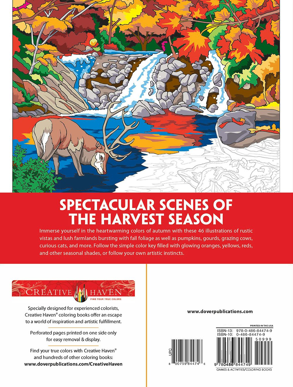 Creative Haven® Color-By-Number: Autumn Inspirations