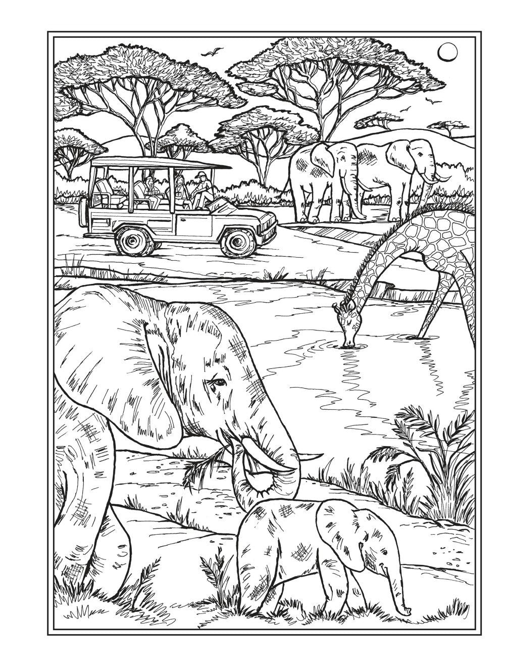 DVR Creative Haven® Coloring Book: Wish You Were Here!