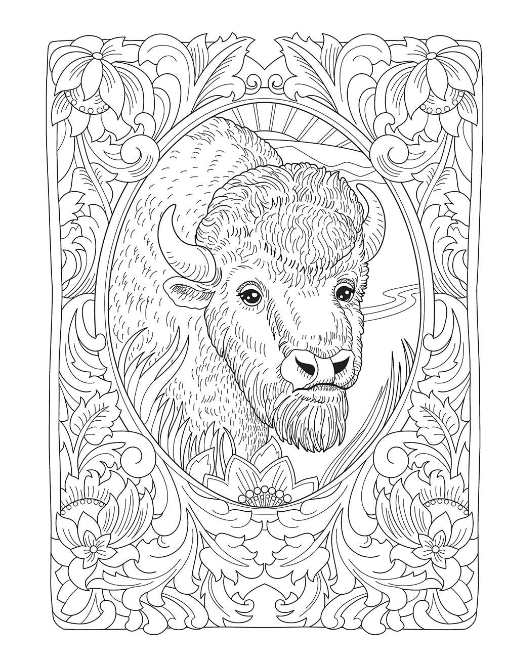 DVR Creative Haven® Coloring Book: Wondrous Wildlife