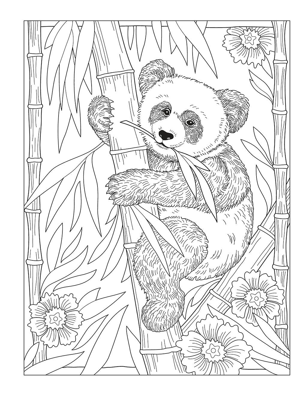 DVR Creative Haven® Coloring Book: Wondrous Wildlife