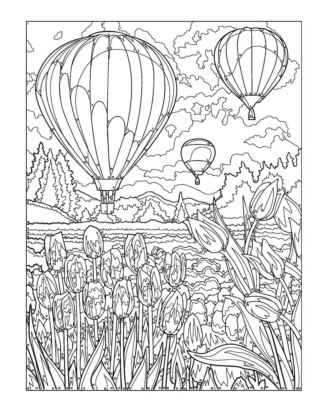 Creative Haven® Color-by-Number: Spectacular Spring Scenes