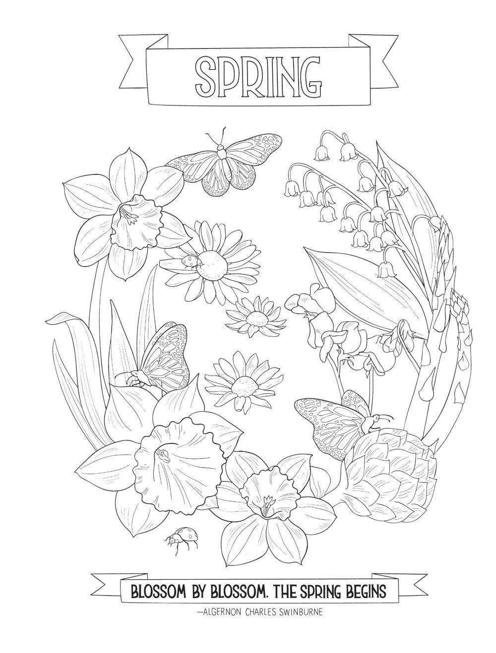 DVR Creative Haven® Coloring Book: A Year In Flowers
