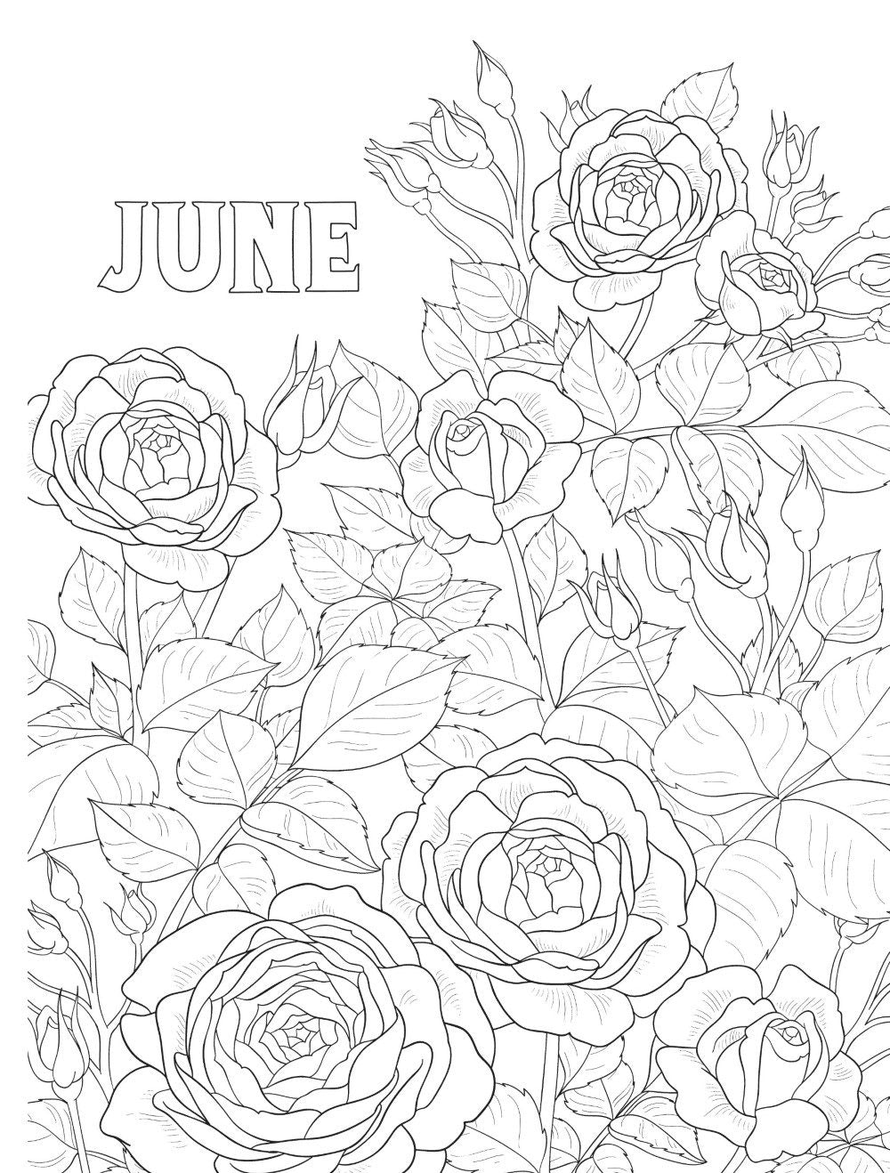 DVR Creative Haven® Coloring Book: A Year In Flowers