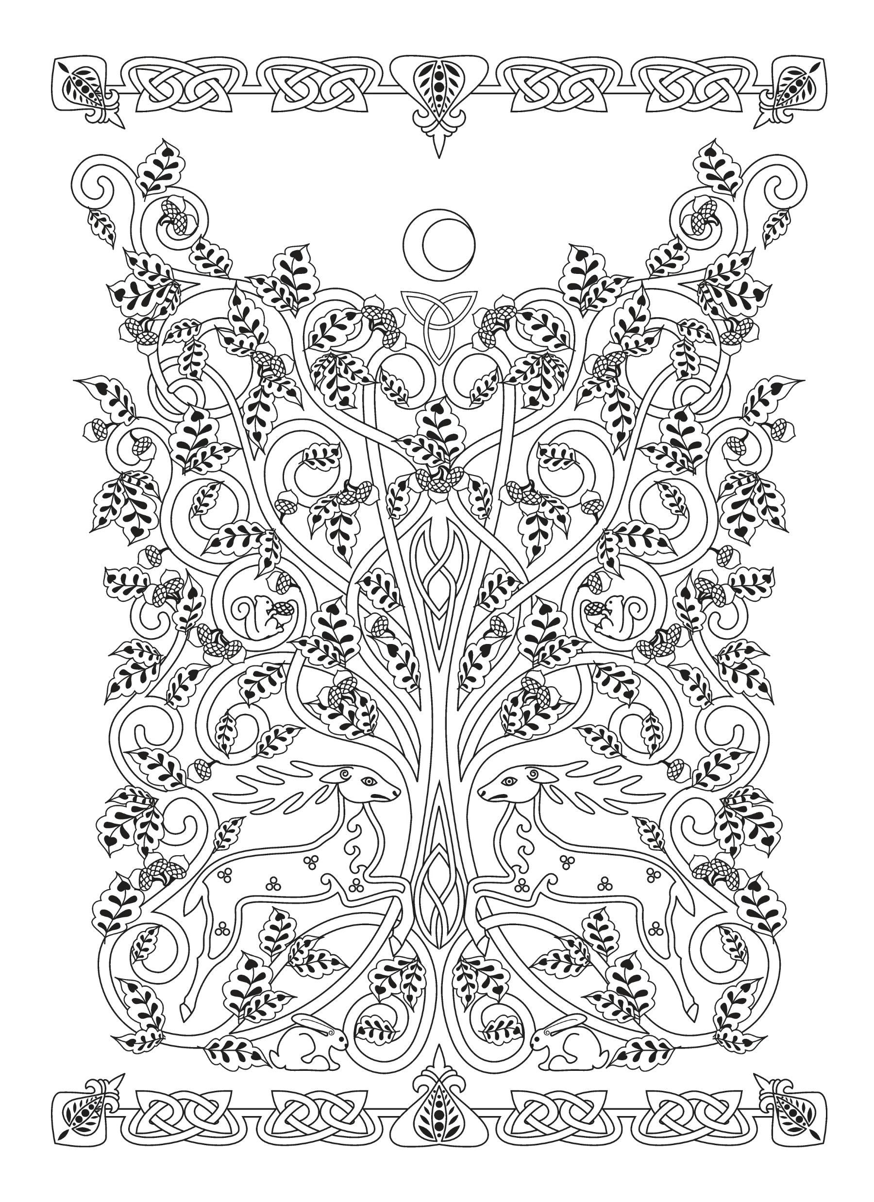 Creative Haven® Coloring Book: Celtic Nature Designs