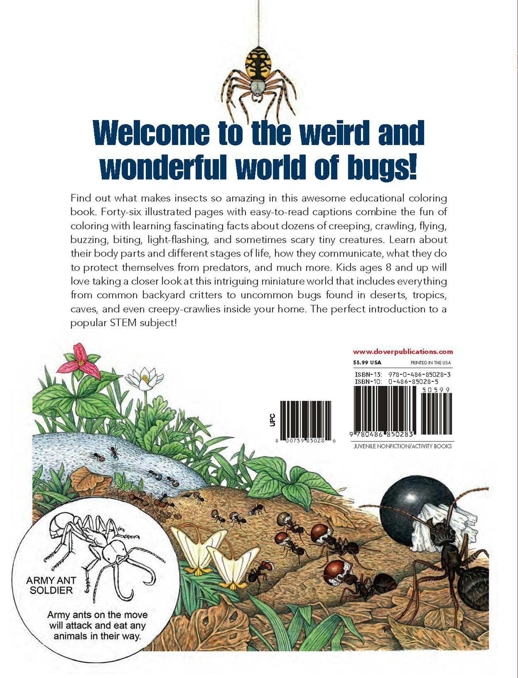 My First Book About Bugs - Coloring Book