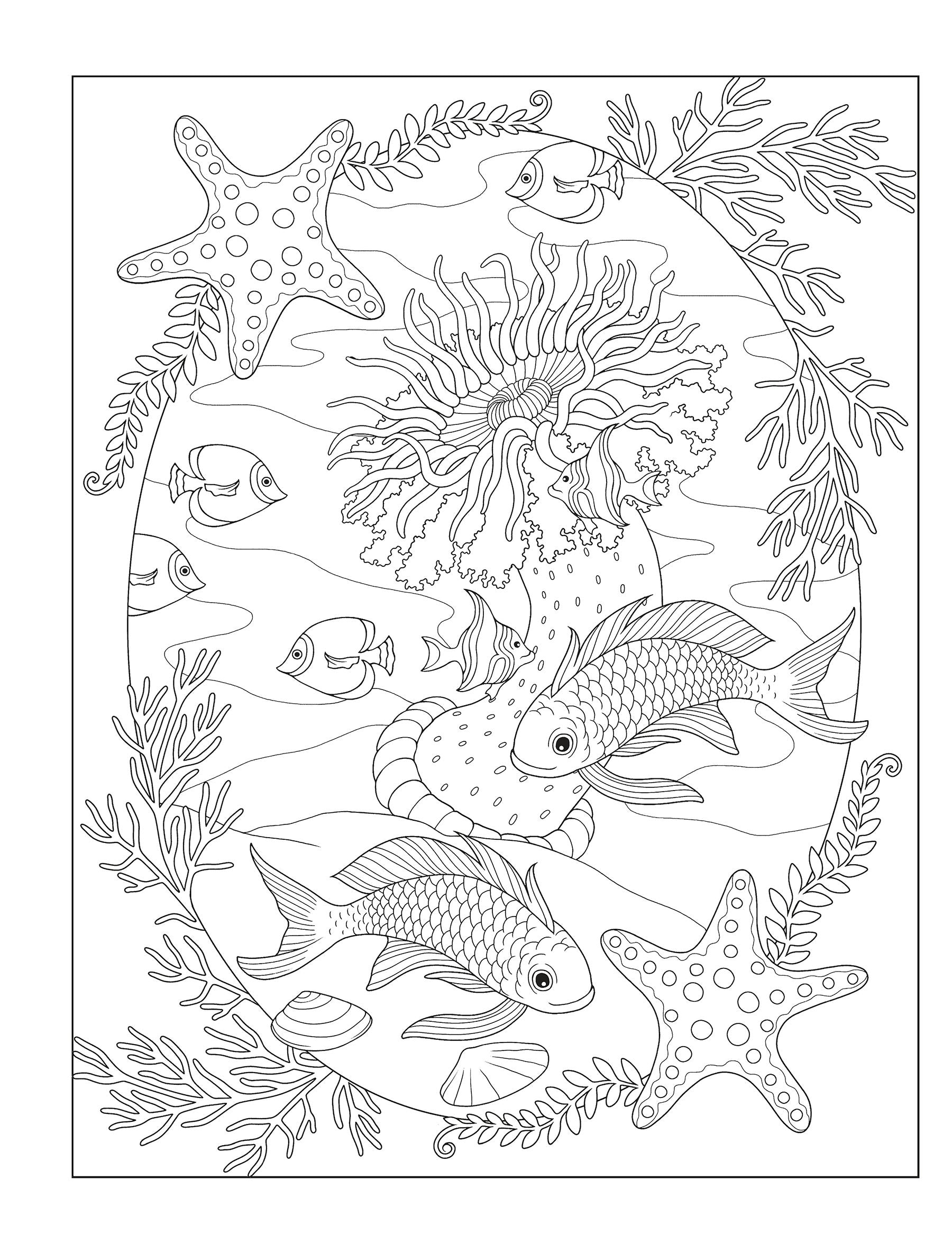 Creative Haven® Coloring Book: Enchanting Oceans
