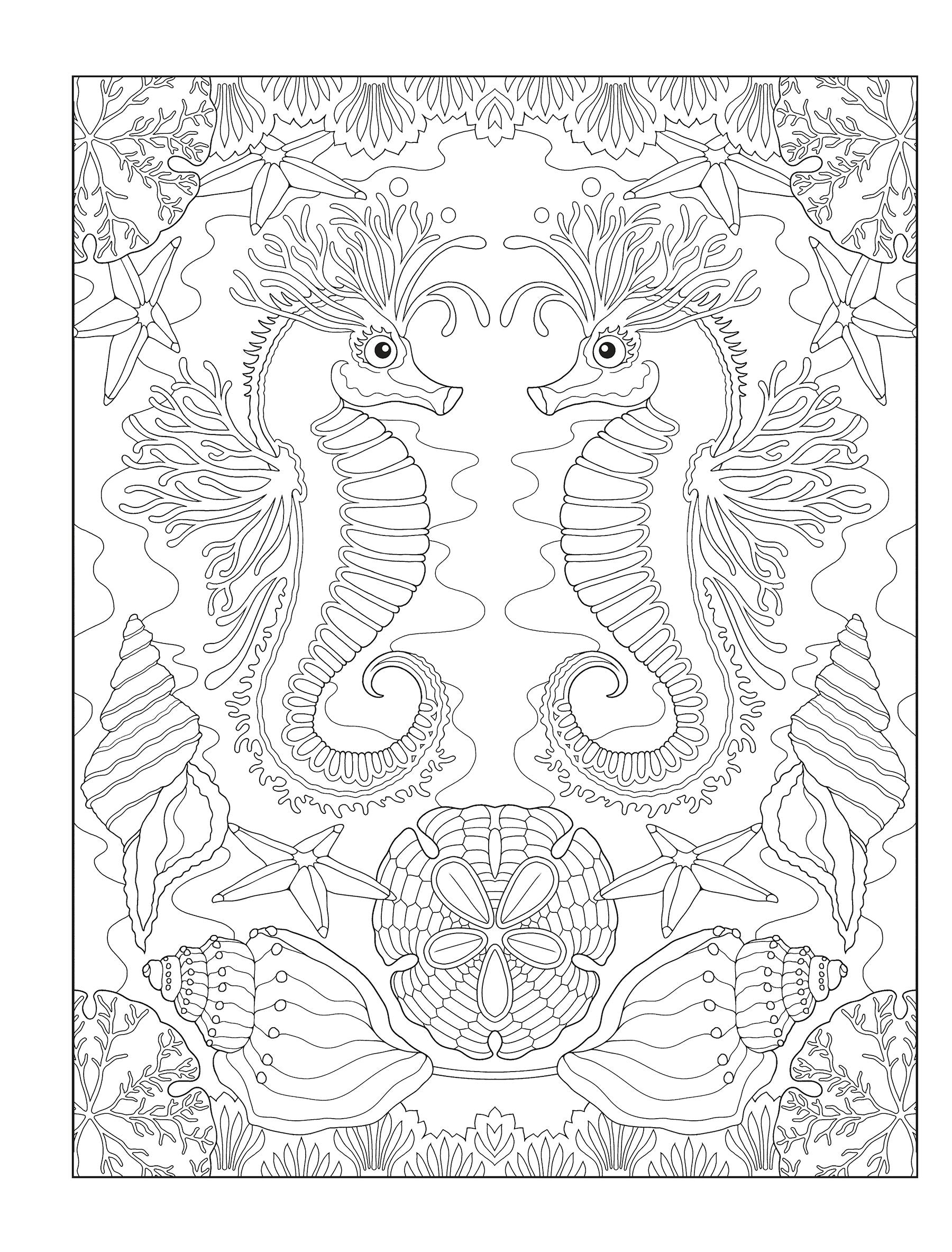 Creative Haven® Coloring Book: Enchanting Oceans