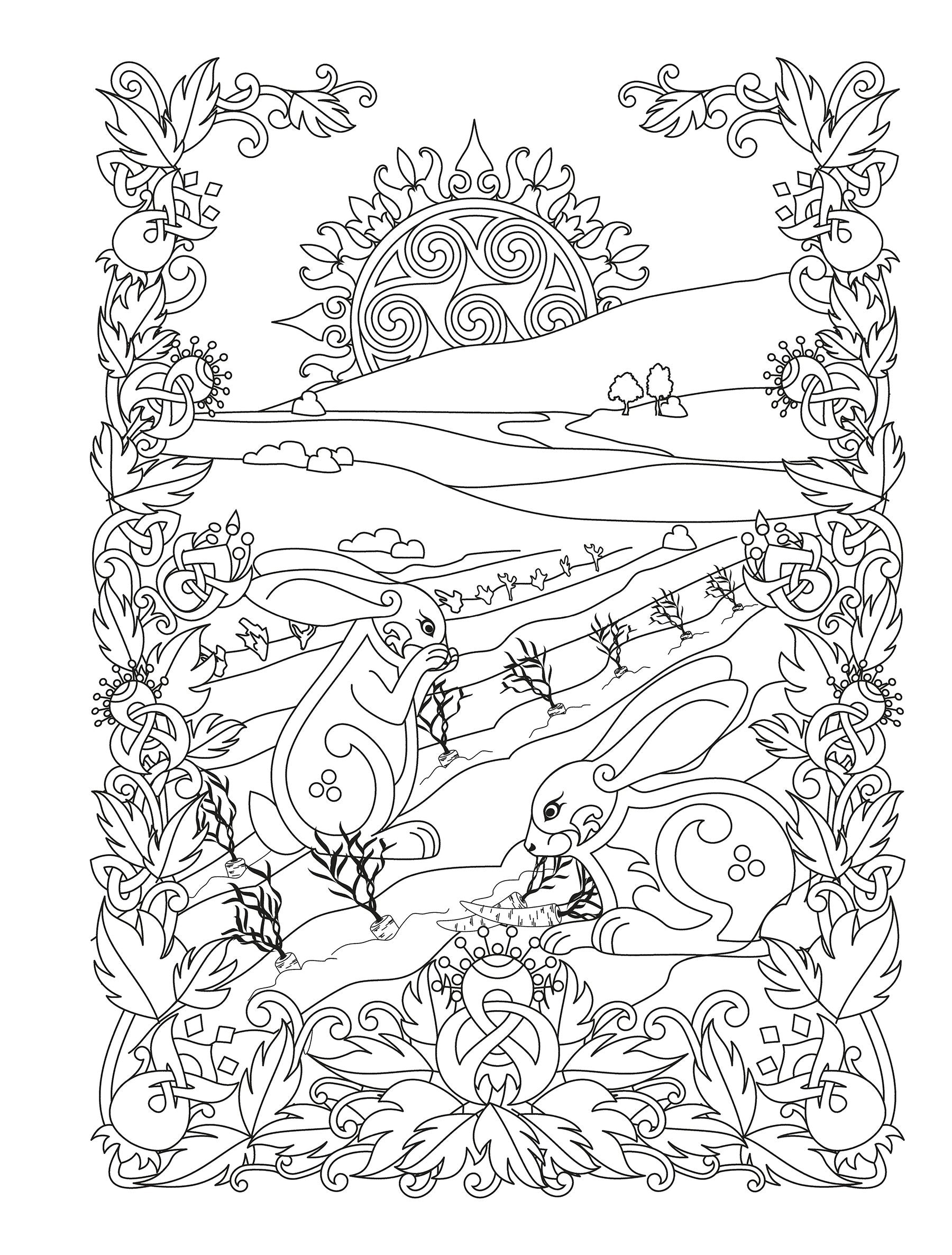 Creative Haven® Coloring Book: Celtic Gardens